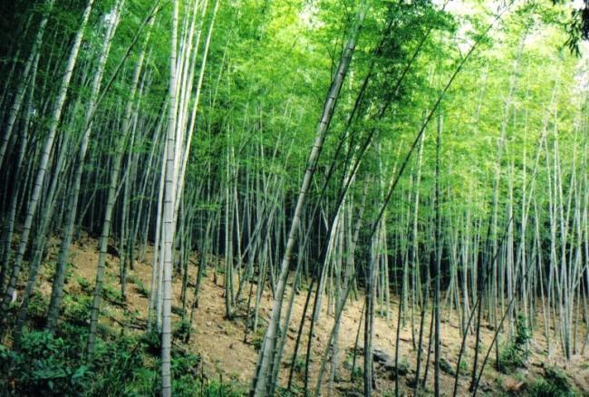 北橫之星 Taoyuan Luaran gambar